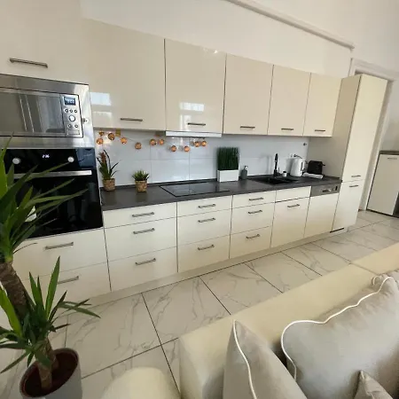 公寓 Luxury Riverside Panorama 布达佩斯